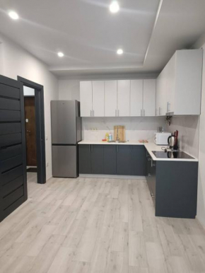 Apartments Domovik Mira 11s/9